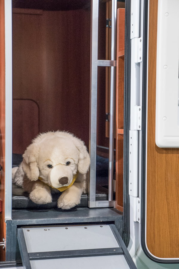 DogLiner Wohnmobil für Hundebesitzer