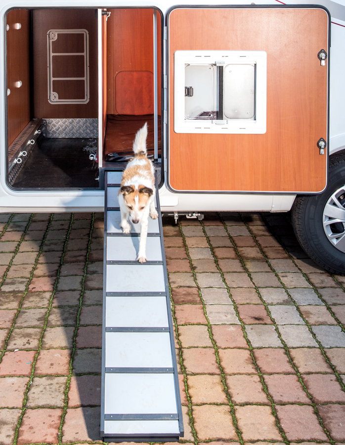 DogLiner Wohnmobil für Hundebesitzer
