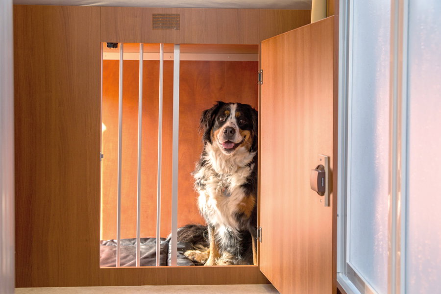 DogLiner Wohnmobil für Hundebesitzer