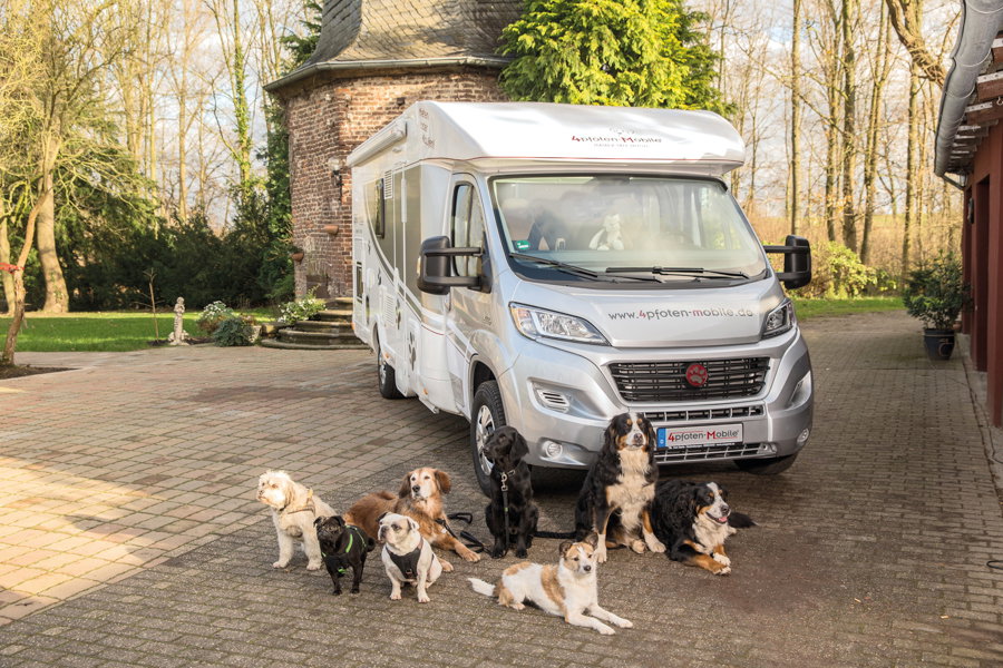 DogLiner Wohnmobil für Hundebesitzer