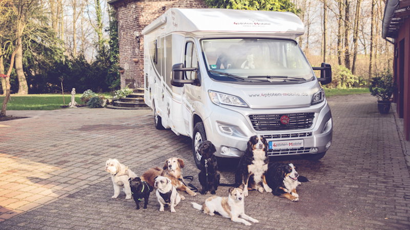 Wohnmobil mieten mit Hund - Der DogLiner