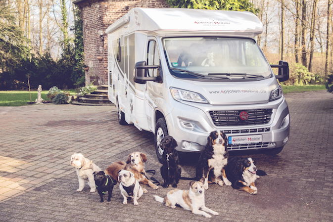 Wohnmobil mieten mit Hund - Der DogLiner