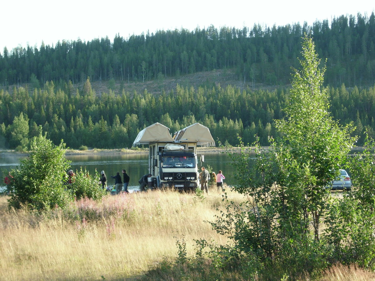 Daltus Dachzeltbus