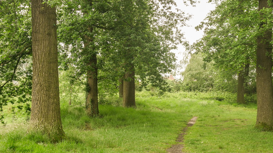 Campingplatz Seepark Ternsche