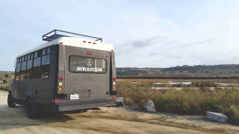 Ein mobiler Co-Working Space - auch als Strandbüro geeignet!