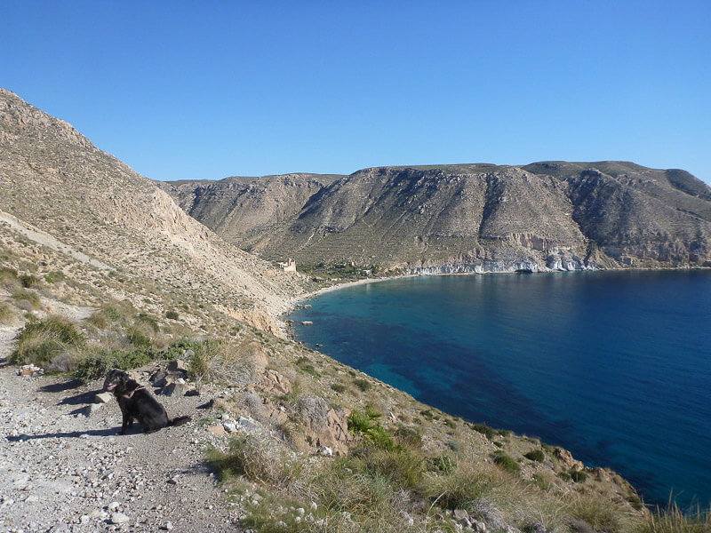 Campingurlaub mit Hund in Andalusien, Spanien