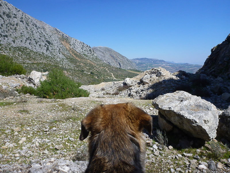 Mit dem Hund in den Bergen von Spanien