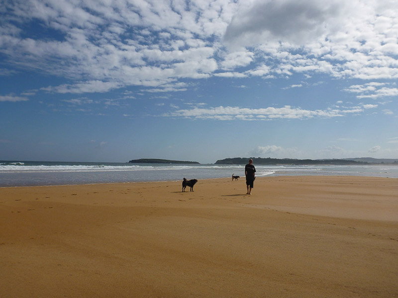 Strandspaziergang mit Hund in Spanien