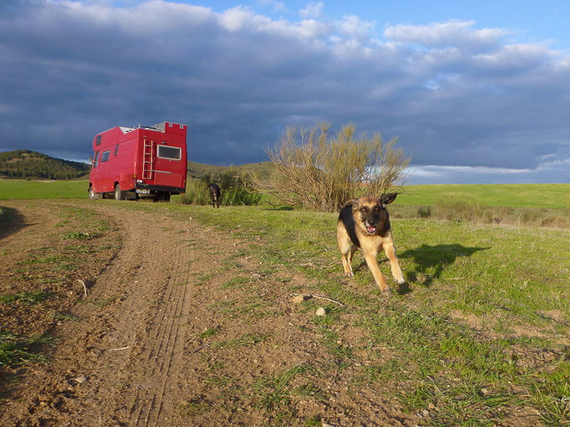 Wohnmobilurlaub mit Hund in Spanien