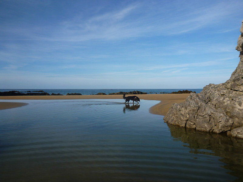 Im Urlaub mit Hund am Strand in Spanien