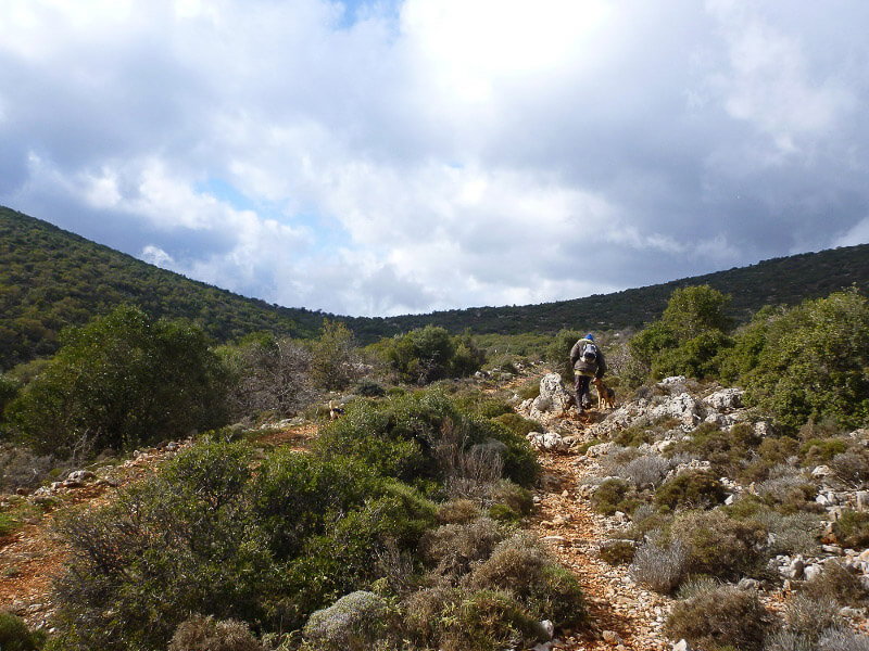 Plateau auf dem Peloponnes, Griechenland
