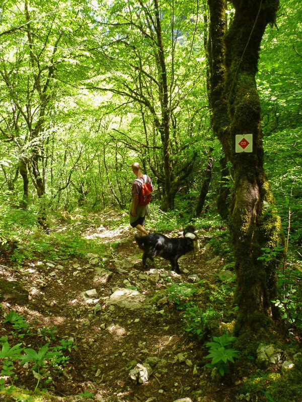 Wanderung in die Vikos Schlucht bei Monodendri