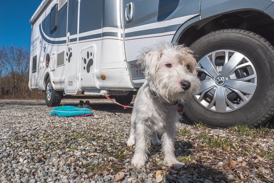 Dog-Liner - Wohnmobilurlaub mit Hund