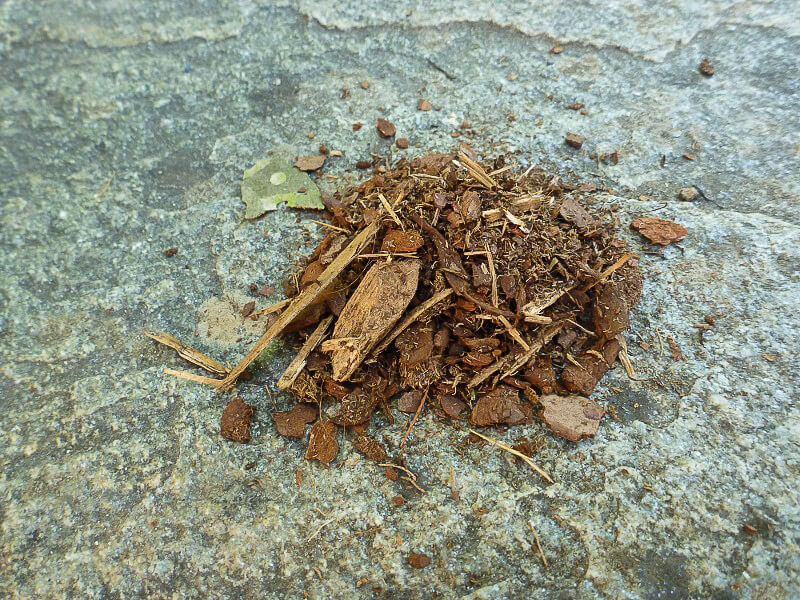 Mulch für eine Trockentoilette