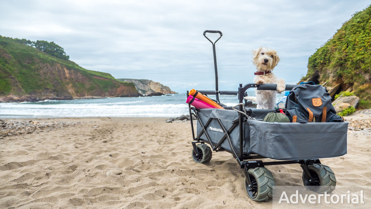 Nützliches Zubehör für Hunde auf Reisen und beim Camping