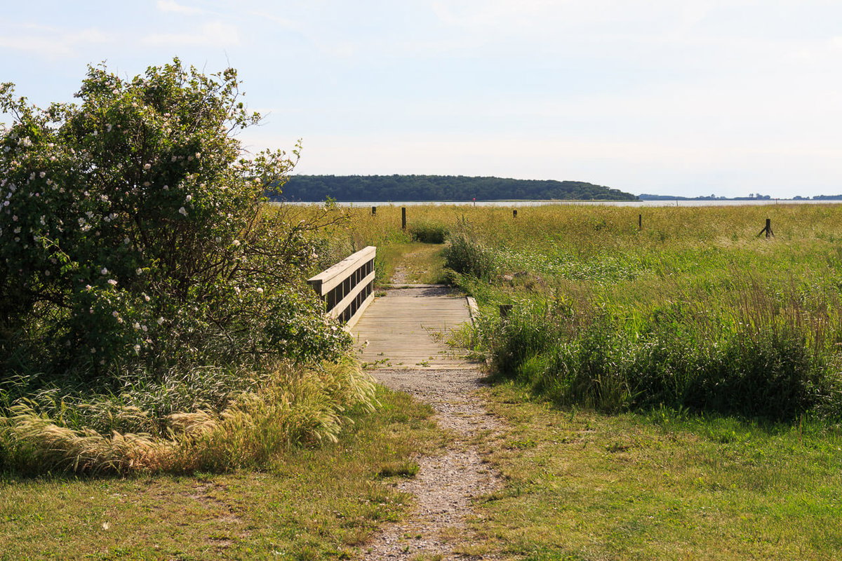 Spaziergänge durch die Natur in Dänemark
