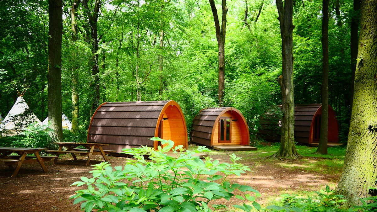 Pods im Kletterwald Leipzig