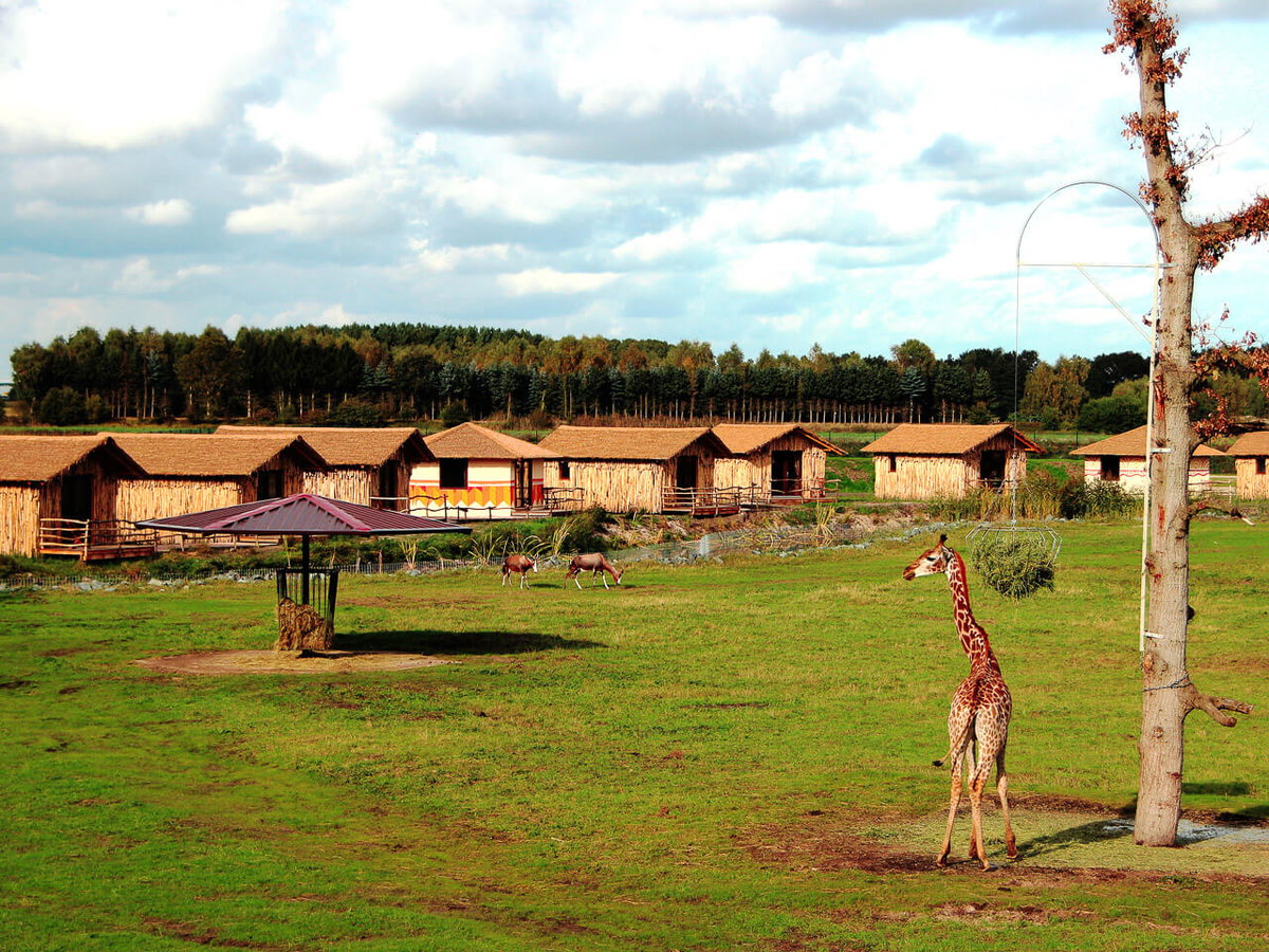 Übernachten im Serengetipark - www.serengeti-park.de