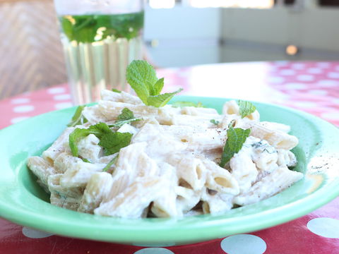 Nudeln mit Ricotta Soße