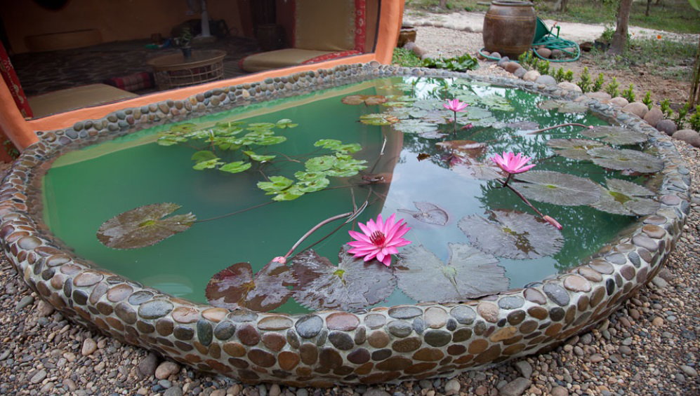 Ein kleiner Teich vor einem Tiny House in Thailand