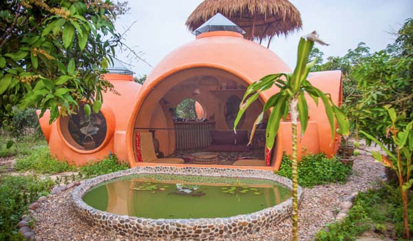 Ein kleines Minihaus mitten in einem Mangofeld