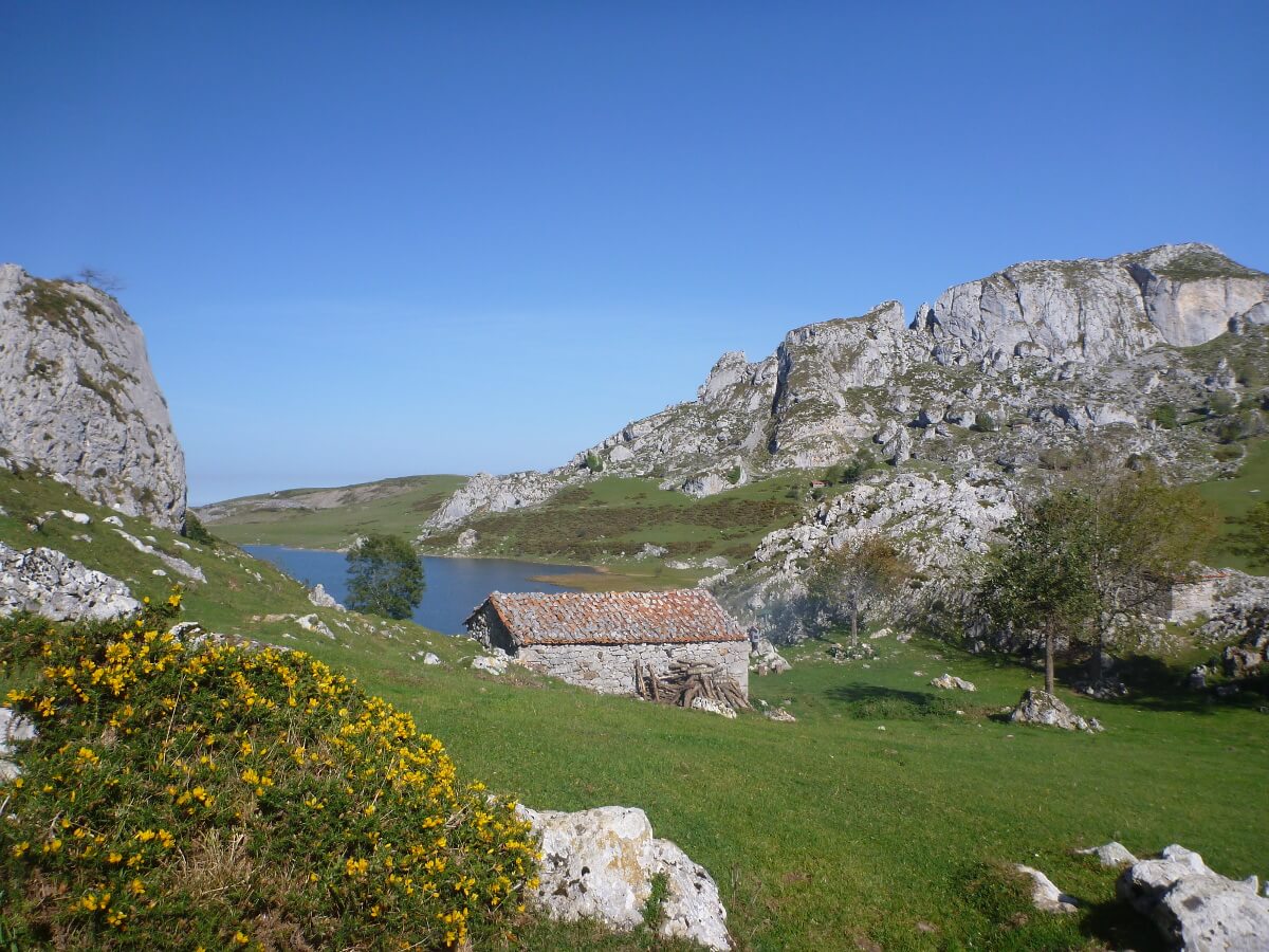 Ein toller Wanderweg durch die Natur in Covadonga