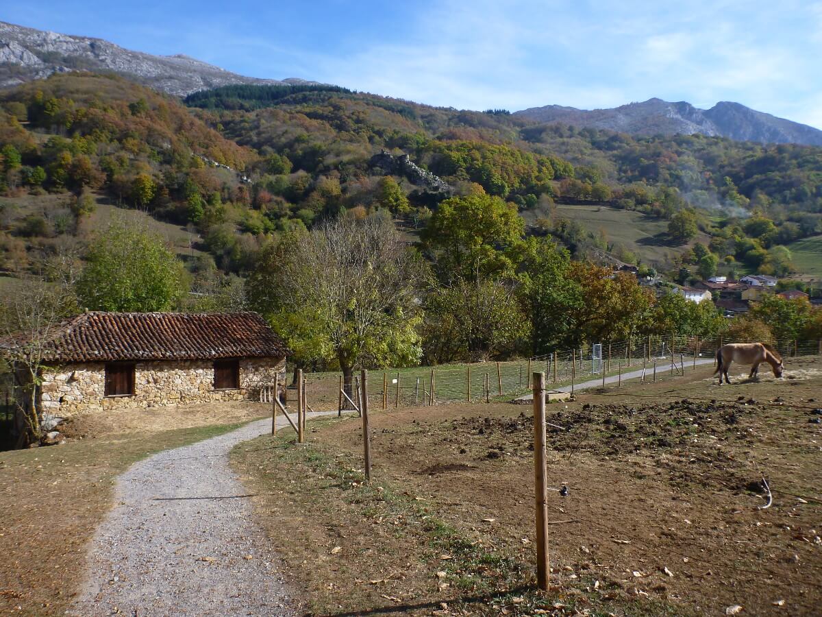 Blick auf den Wanderweg Senda del Oso