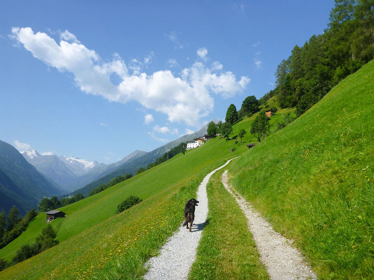 Wanderung mit Hund im Stubaital eines der Reiseziele fuer April