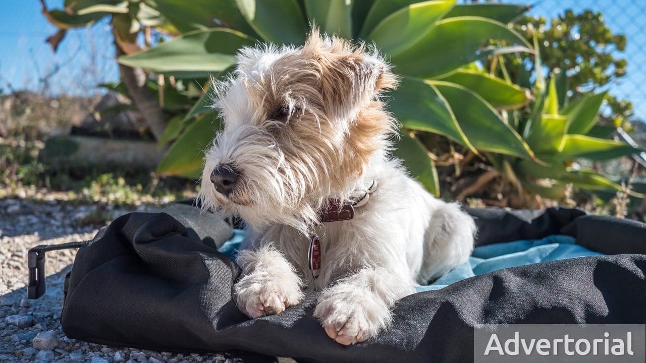 Produkttest: Hochwertiges Reisebett für Hunde von Handmade for dogs