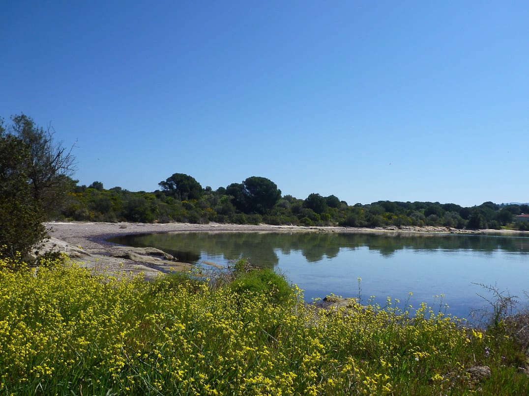 Blick auf einen Strand im Fruehling in Sithonia