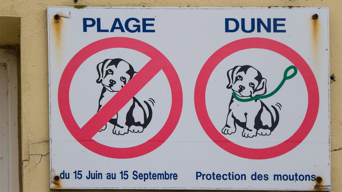 Ein Schild ob Hunde in Frankreich an den Strand dürfen