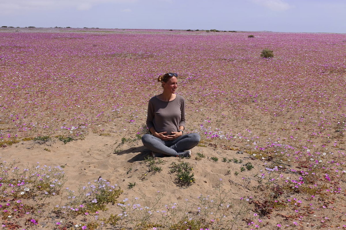 Sabine sitzt mit Babybauch auf einer Blumenwiese und berichtet vom schwanger reisen