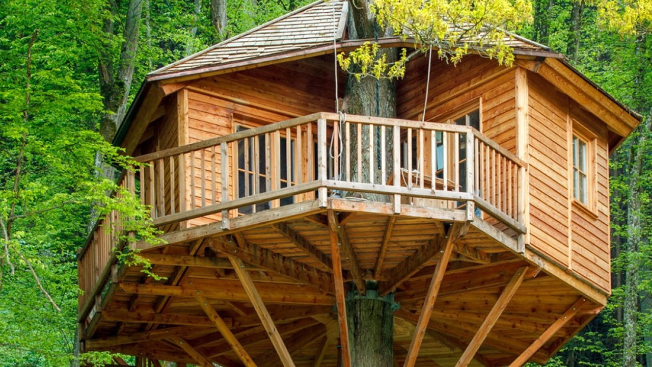 Leben im Baumhaus: Alles zu Planung und Bau eines Kindheitstraums