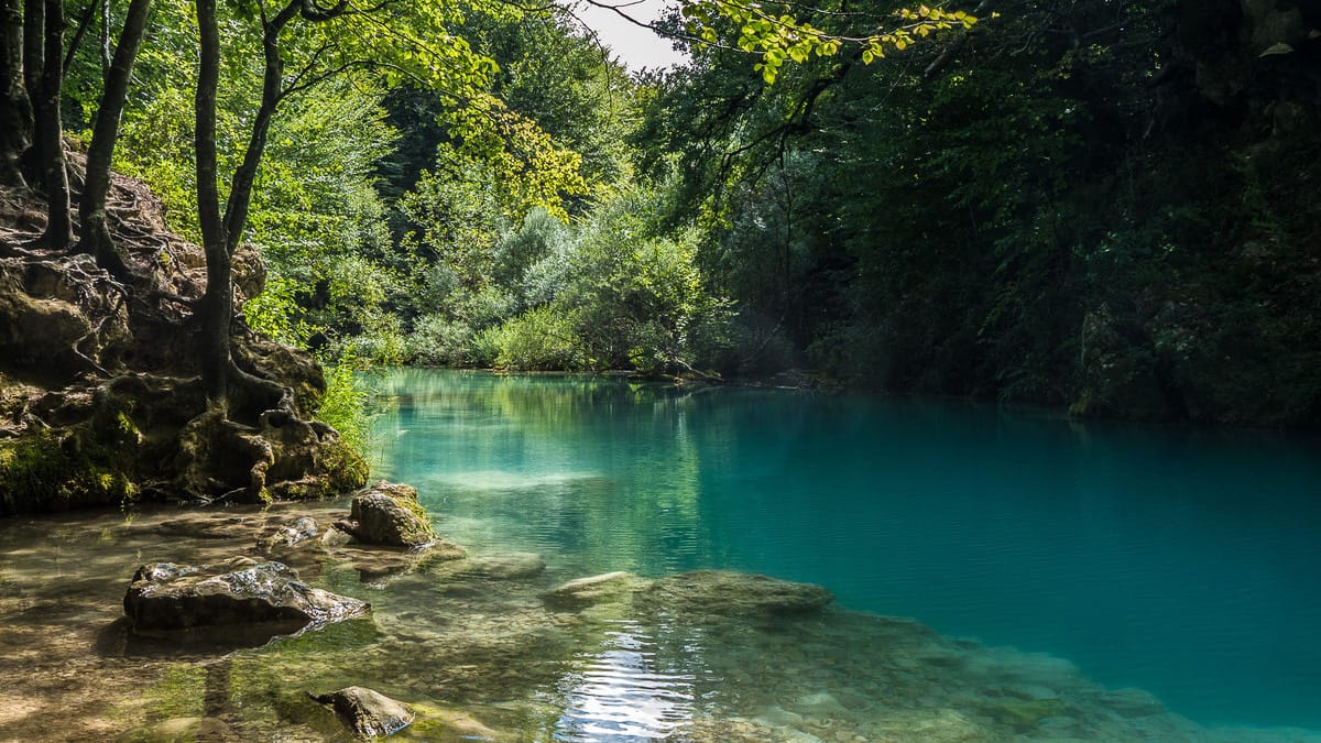 Blick auf den tropischen Urwald beim Wandern im Baskenland