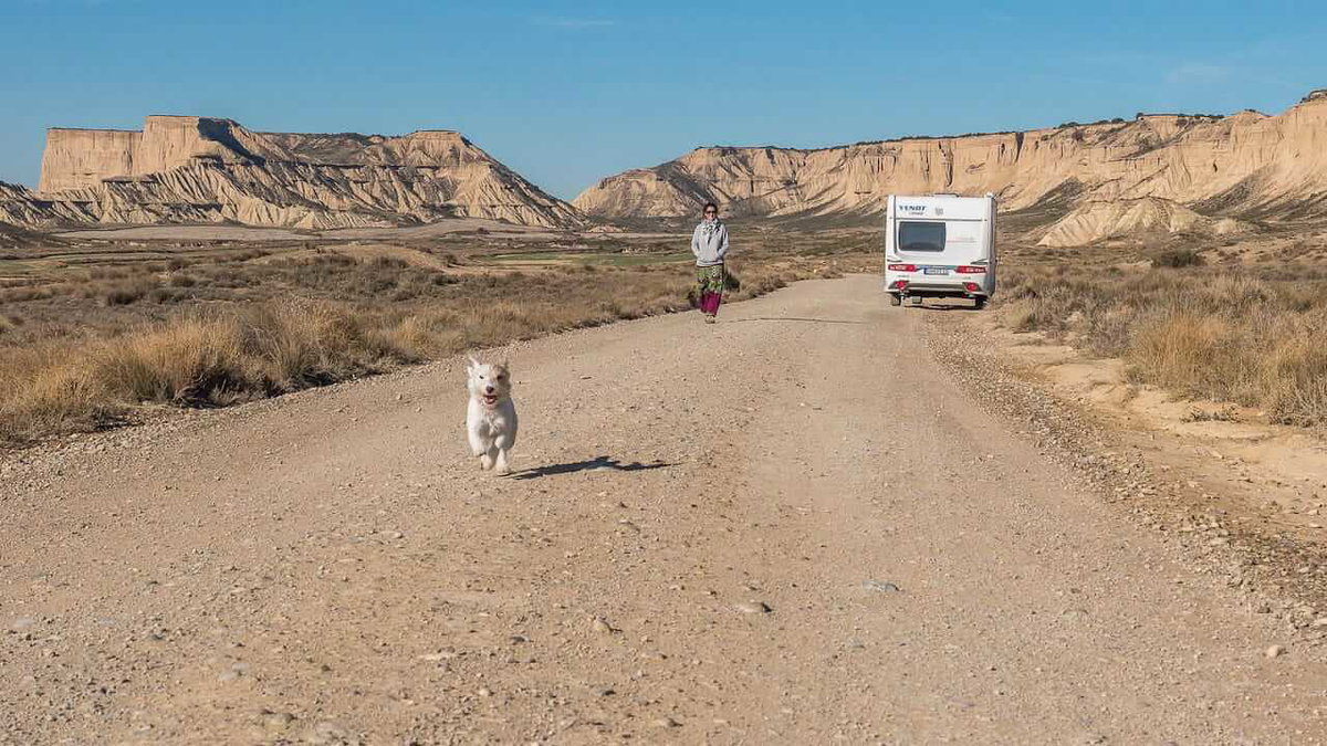 Ein Hund tobt sich aus, in der Ferne sein Frauchen und ein Wohnwagen