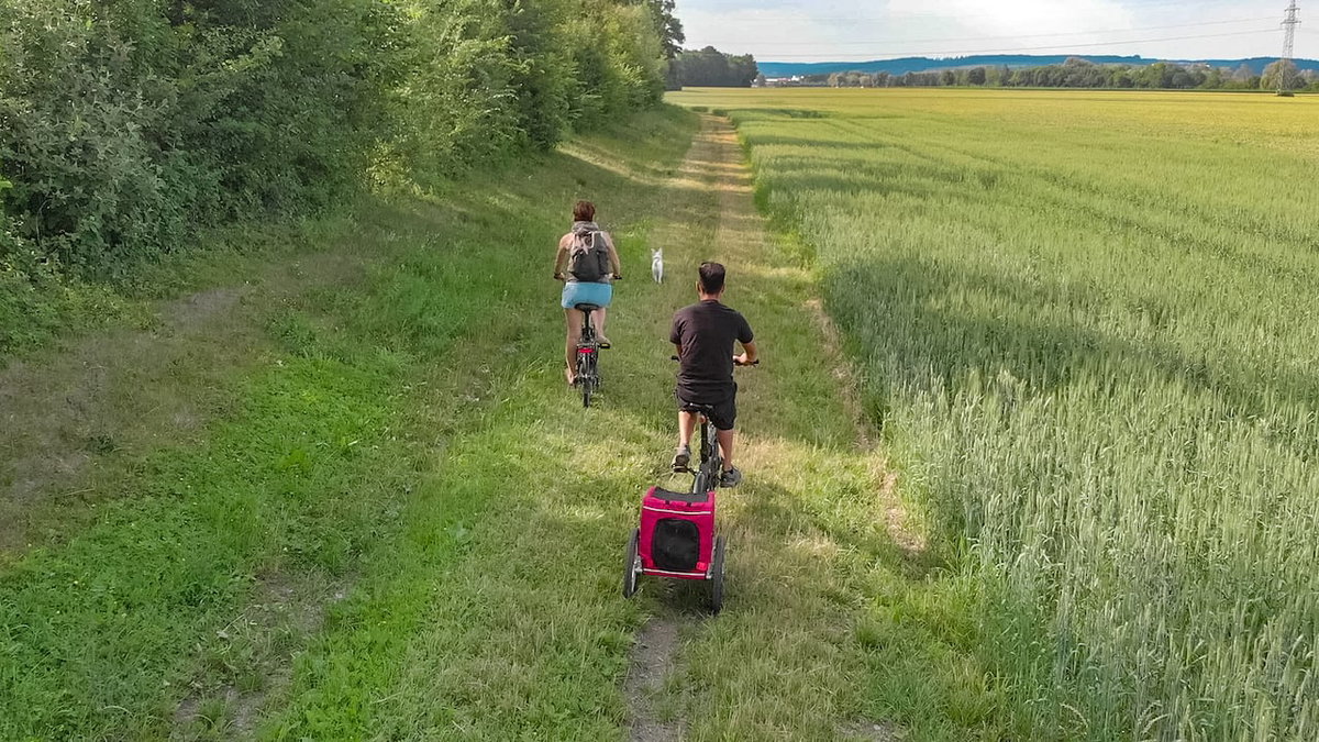 Elektrische Falträder Test eflizzer