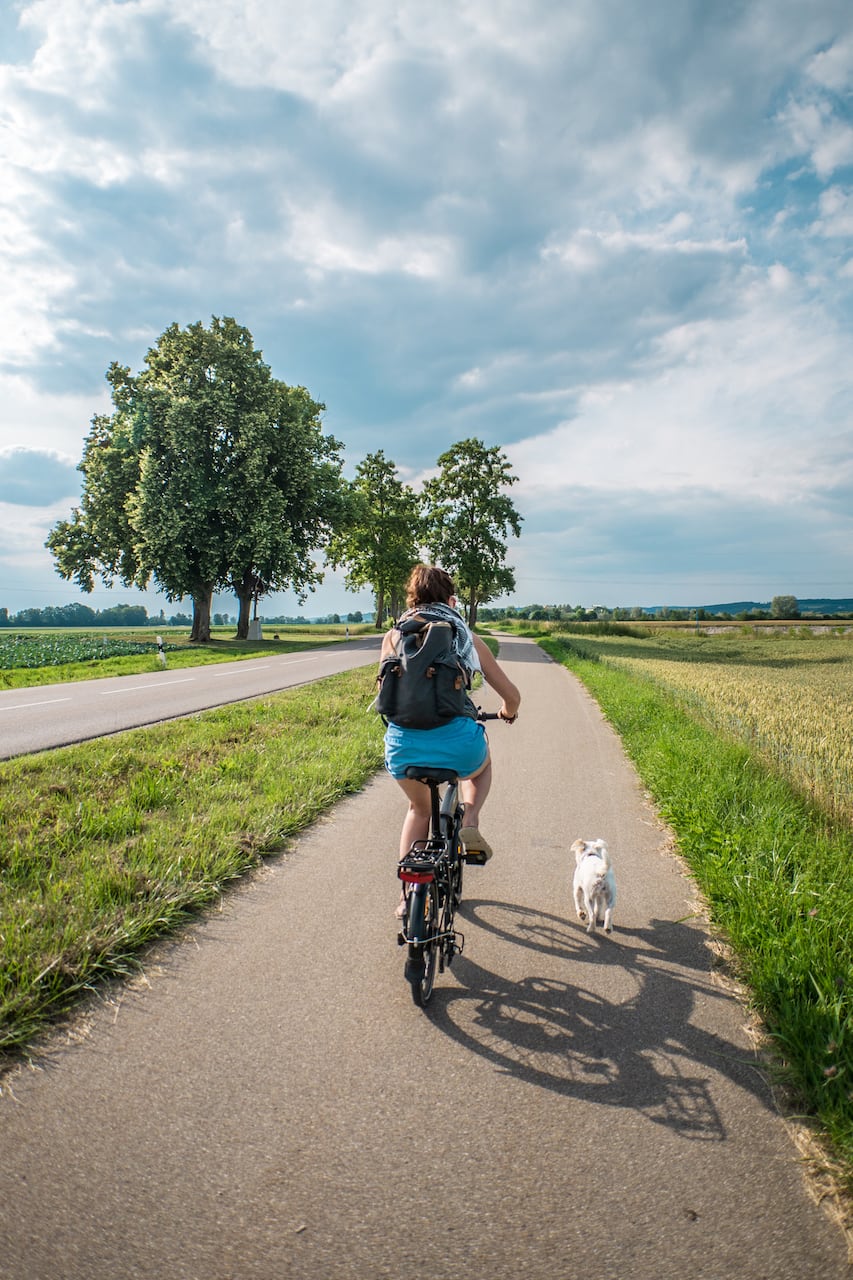 Falt-Ebike-Sprint