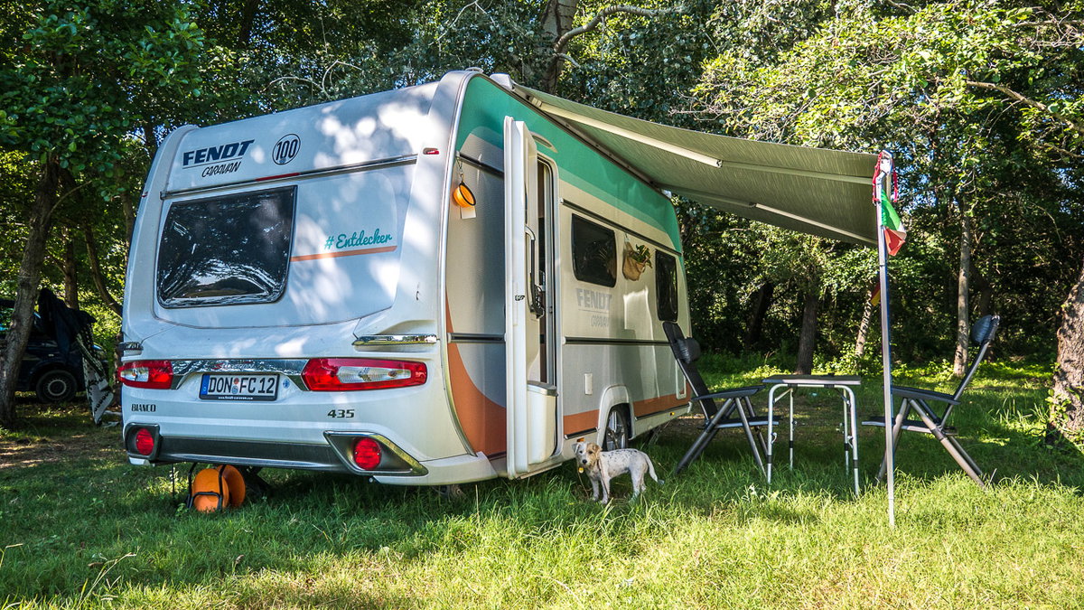 Mit einem Hund beim Camping mit Wohnwagen auf einer Wiese