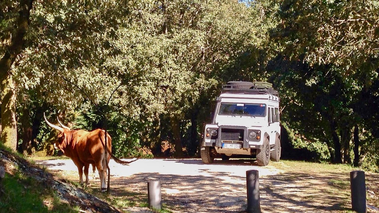 Wildcamping in Portugal - Regeln und Tipps für einen gelungenen Urlaub
