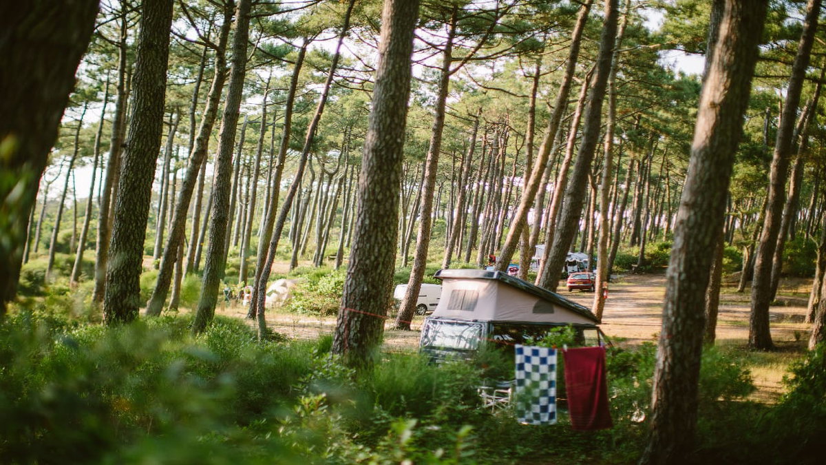 Ein Platz fuer FKK Camping in Frankreich unter Baeumen