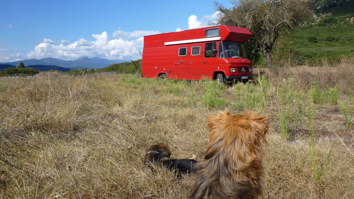 Ein Hund und ein Wohnmobil beim Wildcampen in Griechenland