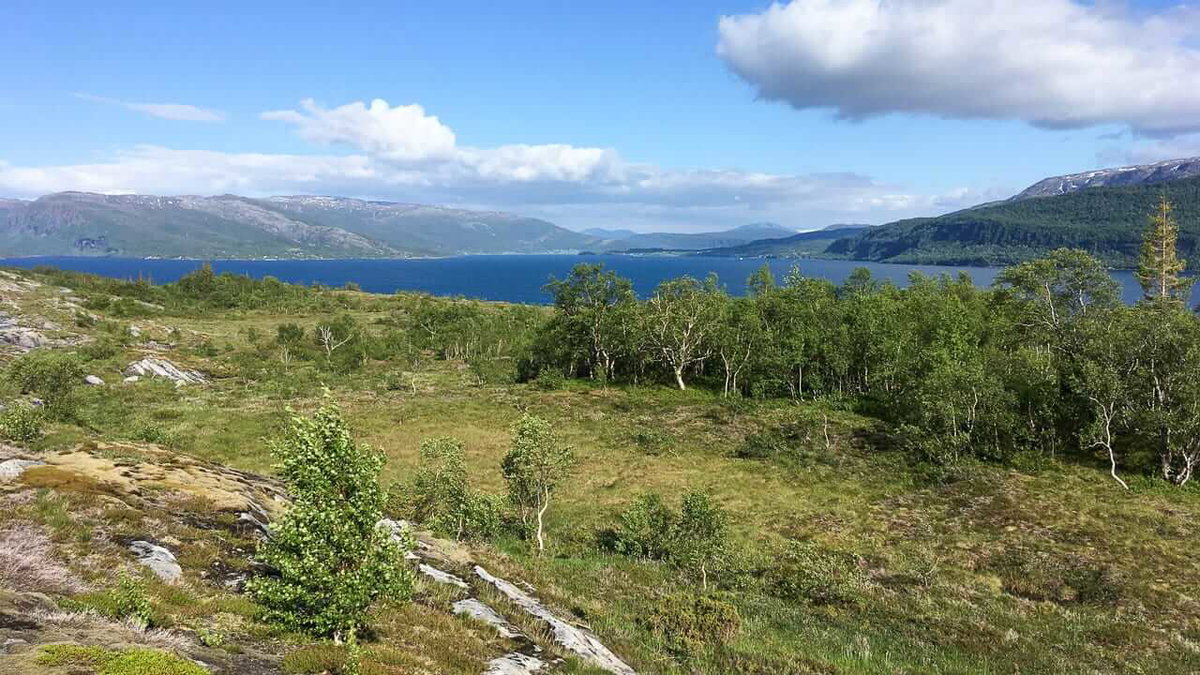 Aussicht auf den Fjord beim Wandern in Norwegen