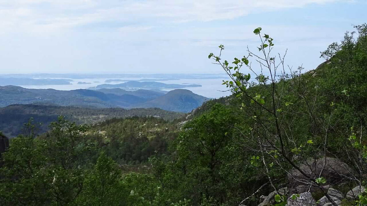 Die Landschaft beim Wandern in Norwegen zum Preikestolen