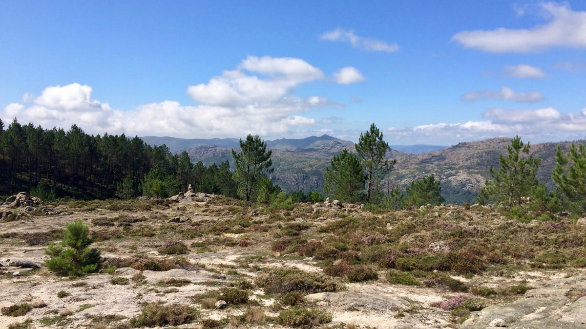 Blick auf die Wildnis in Portugal beim Wildcamping in Europa