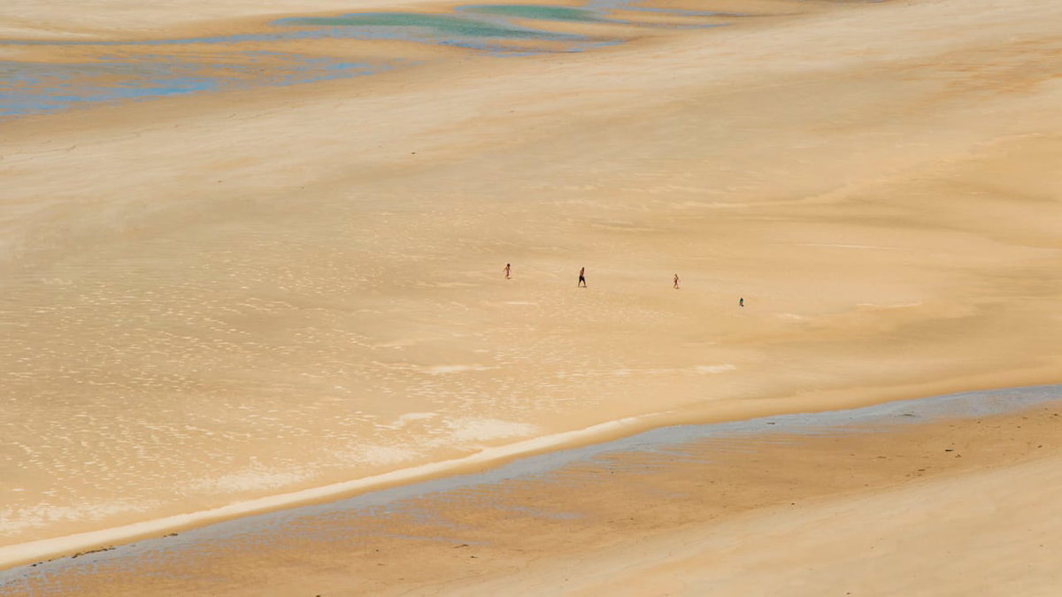 Ein Hundestrand in Frankreich bei Ebbe