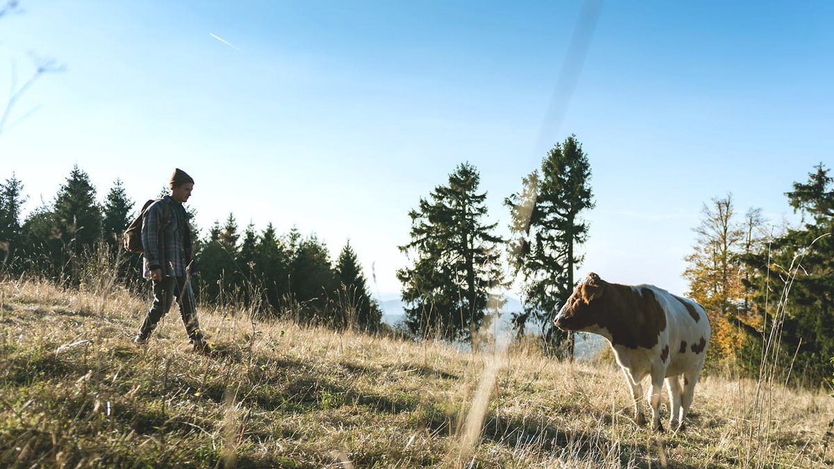 Natur pur beim Wandern in der Rhoen