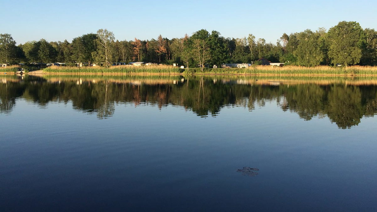 Der FKK Campingplatz NaturCamp Sonnensee