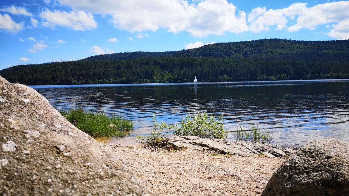 Entspannter Nachmittag am Schluchsee