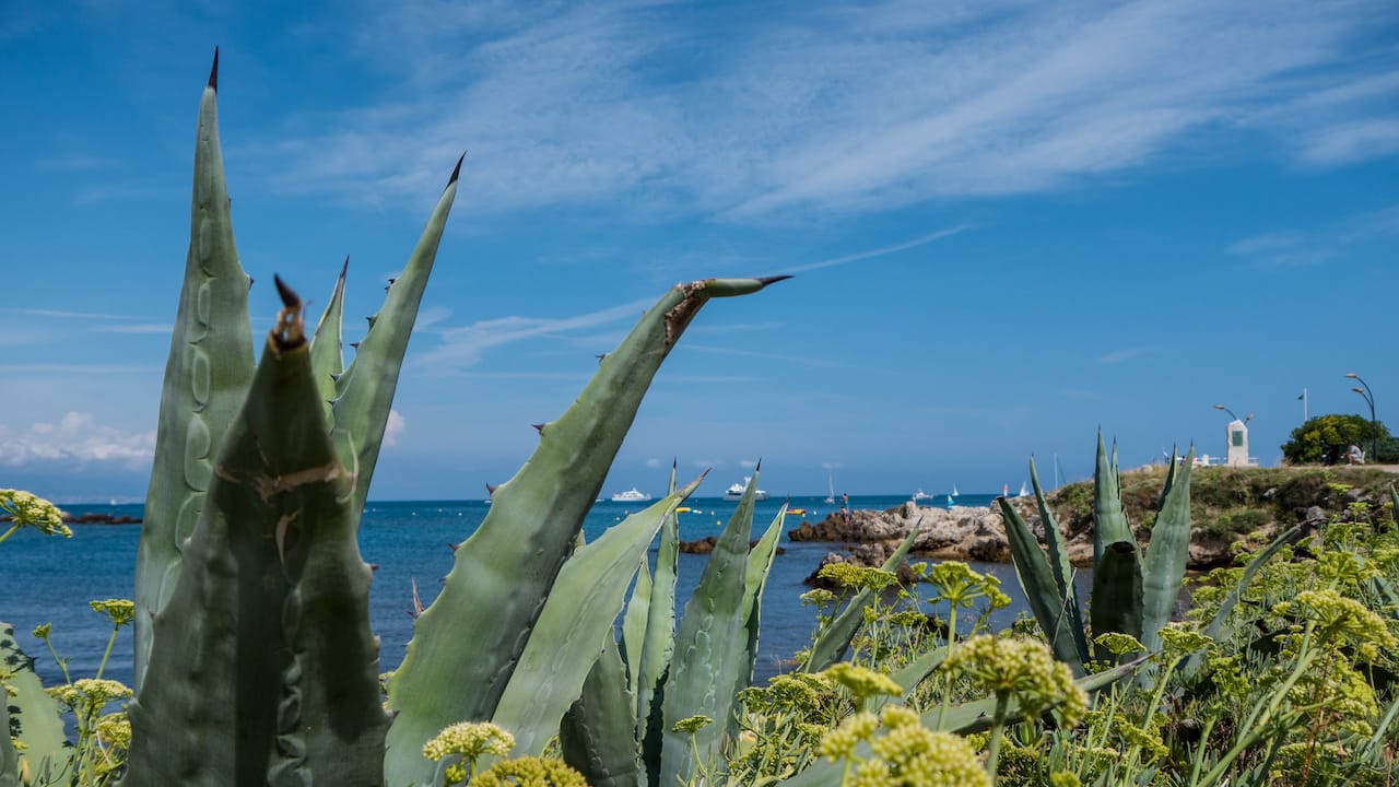 Camping Südfrankreich - Cote d'Azur
