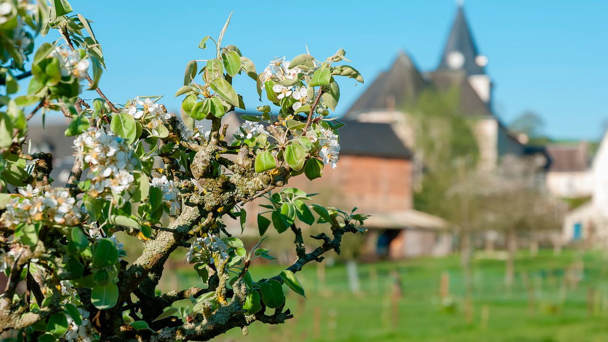 Landschaft der Normandie in den Buechern von Balen